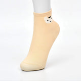 Cat Design Premium No Show Ankle Socks (Pack of 5)