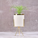 White Classic Marble Finish Porcelain Flower Pot with Planter (Artificial Plants)-Large
