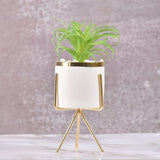 White Classic Marble Finish Porcelain Flower Pot with Planter (Artificial Plants)-Medium