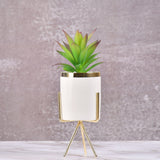 White Classic Marble Finish Porcelain Flower Pot with Planter (Artificial Plants)-Large