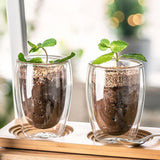 Bistro Classic Double Wall Glass