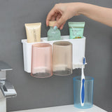 Korean Wall Mount Shine Plastic Toothbrush 3 Section Caddy