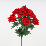 Red Garden Rose