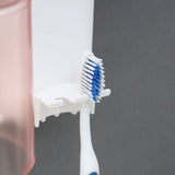 Korean Wall Mount Shine Plastic Toothbrush 2 Section Caddy