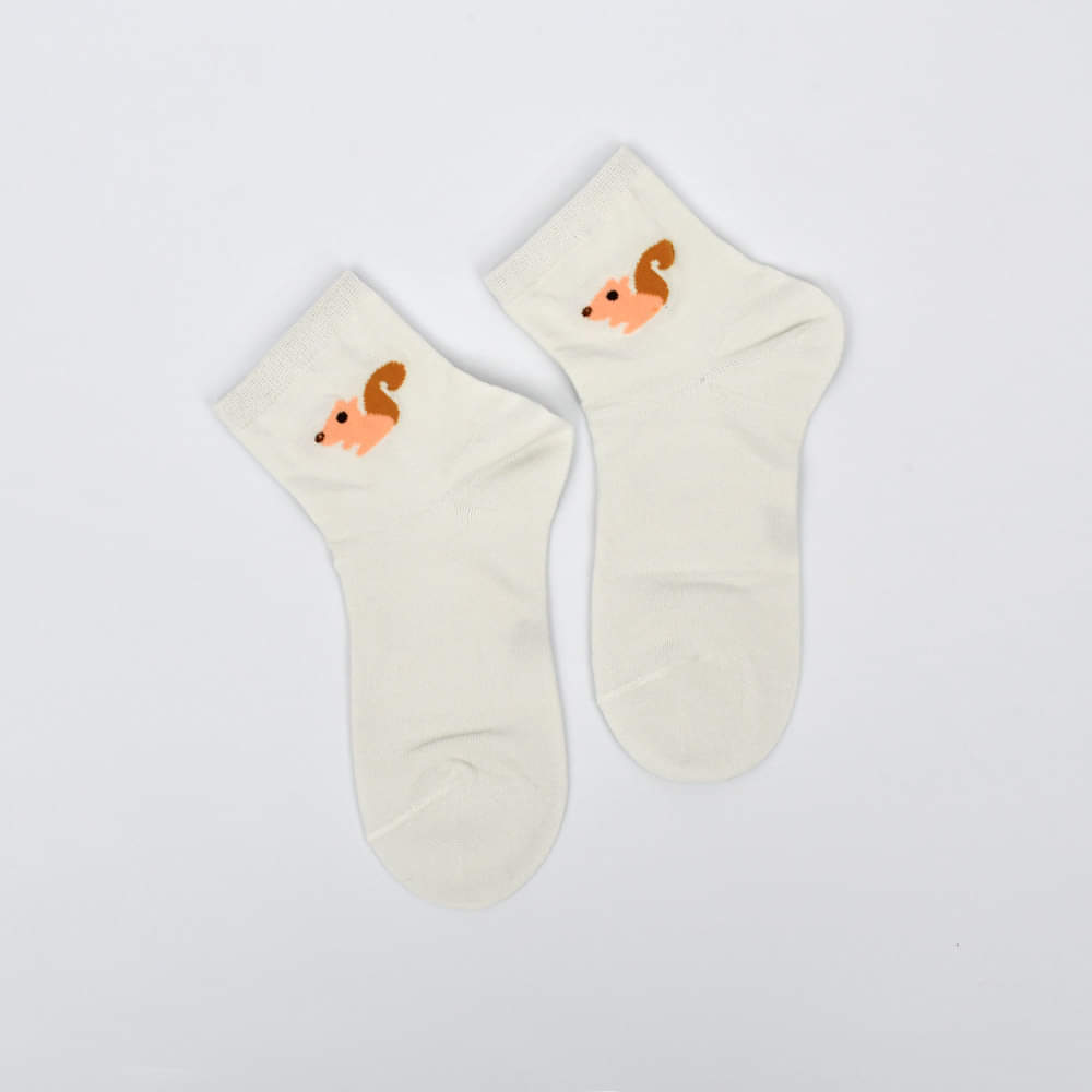 Cute Foxi Premium No Show Ankle Socks (Pack of 5)