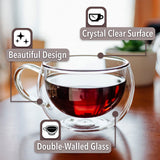 Double wall Ultra Clear Insulated Coffee Mug